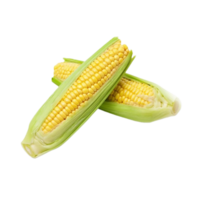 corn png transparent background