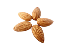 Almendras png transparente antecedentes