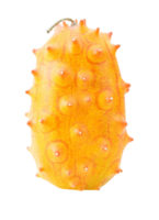 gehörnt Melone png transparent Hintergrund