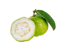 Guava png transparent background