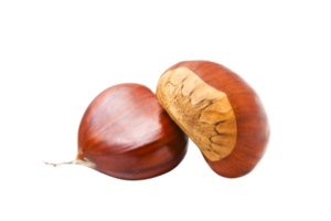 Noisette png transparent Contexte