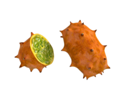 horned melon png transparent background