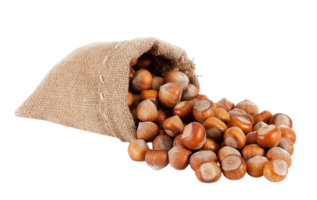 Noisette png transparent Contexte