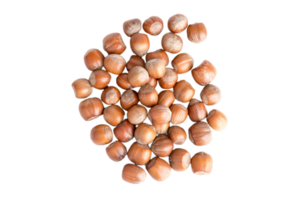 Hazelnut png transparent background