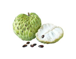 custard apple png transparent background