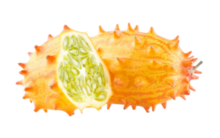 horned melon png transparent background