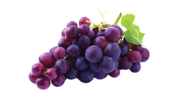 uvas png transparente antecedentes