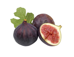 FIG png transparente fundo