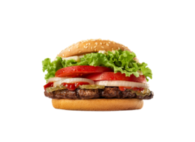 burger png transparent background