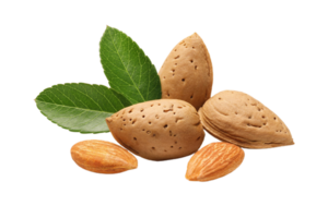 almonds png transparent background