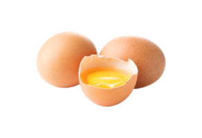 egg png transparent background