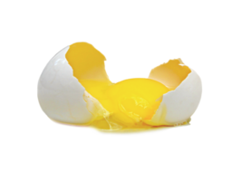 egg png transparent background