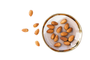 almonds png transparent background