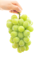 Grapes png transparent background