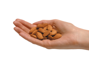 amandes png transparent Contexte