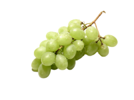 Grapes png transparent background