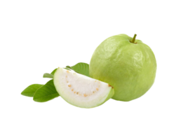 Feijoa png transparent background