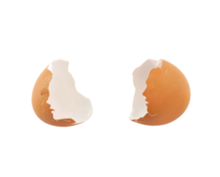 Oeuf png transparent Contexte