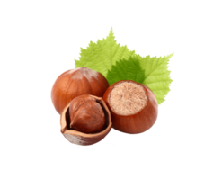 Hazelnut png transparent background