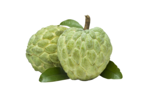 custard apple png transparent background