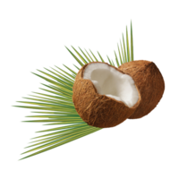 coconut png transparent background