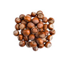 Hazelnut png transparent background