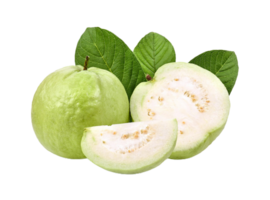 Guava png transparent background