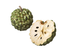 custard apple png transparent background