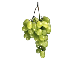 les raisins png transparent Contexte