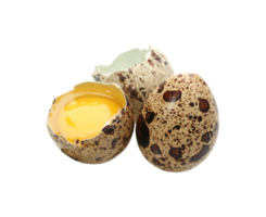 ägg png transparent bakgrund