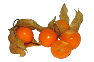 physalis png trasparente sfondo