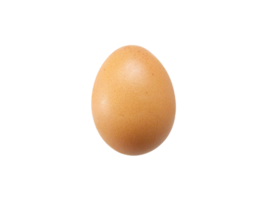 egg png transparent background