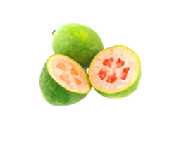 feijoa png trasparente sfondo