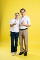 portrait of middle aged asian couple posing on yellow background photo