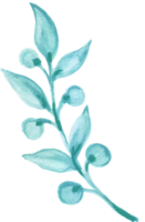 pâle bleu brillant saphir Couleur fleur abstrait aquarelle illustration main peindre png