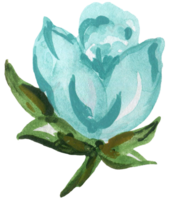 Pale blue bright sapphire color flower abstract watercolor illustration hand paint png