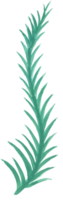 pale blauw helder saffier kleur bloem abstract waterverf illustratie hand- verf png