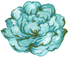 Pale blue bright sapphire color flower abstract watercolor illustration hand paint png