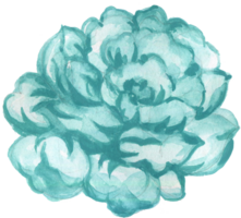 Pale blue bright sapphire color flower abstract watercolor illustration hand paint png