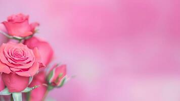 Rose of pink color on blurred background. Copy space for text. Mock up template. AI Generative photo