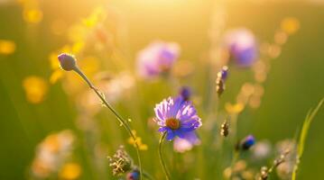 primavera flores antecedentes. ai generativo foto