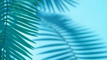 Palm Leaves Shadow on the light blue wall. Spring and summer. Ai Generative. photo