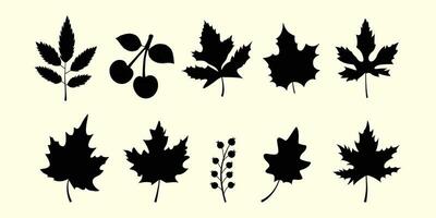 colección de estacional plantas y hojas en un otoñal estilo. flores, hojas, y plantas dibujado por mano. vector