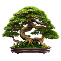 costoso hermosa bonsai árbol ai generativo png