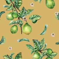 Branch of tree and single guava fruit watercolor seamless pattern isolated on beige background. Green leaves, flowers of guajava hand drawn. Design for wrapping, packaging, fabric, paper, textile vector