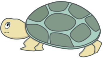 ilustração do tartaruga png
