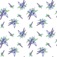 Sage herbal plant watercolor seamless pattern. Salvia officinalis, purple leaves, useful herb hand drawn. Design for textile, package, wrapping, paper, fabric. png
