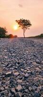 rocky road and sunset photo