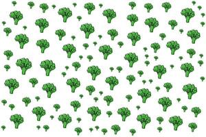 a pattern of green broccoli on a white background vector