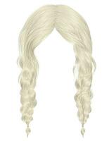 two buns  hairs with fringe  blond colors . women fashion beauty style . vector